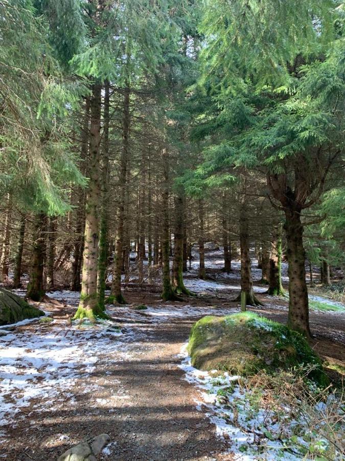 Trefriw Snowdonia Retreat 빌라 외부 사진